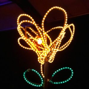 Meet your Posher, Carlos